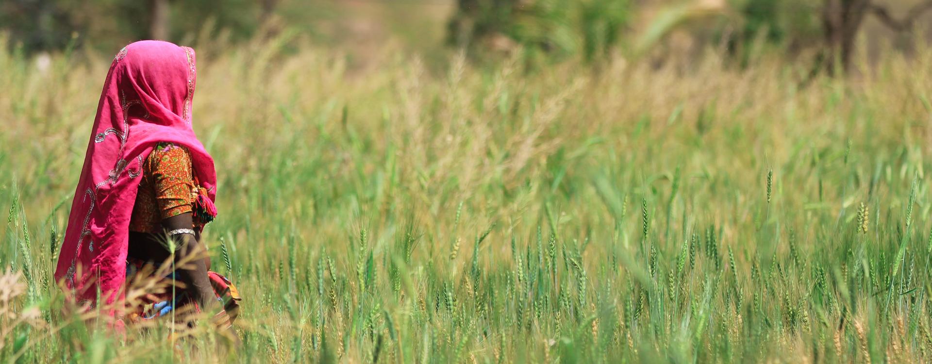 Healthier Diets for All